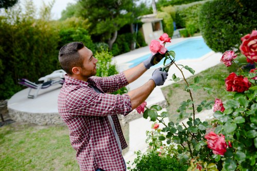 Hedge cutting for a residential property in Waterloo
