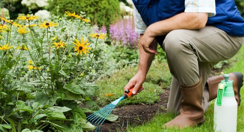 Free quote consultation for a tree removal job