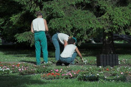 Tree surgeon examining job records during a complaint review